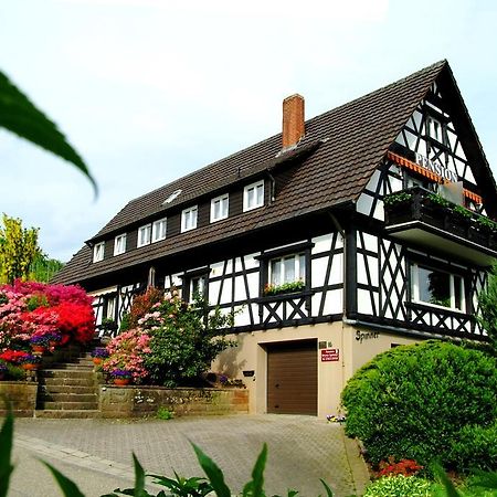Pension Am Weinberg Sasbachwalden Zewnętrze zdjęcie